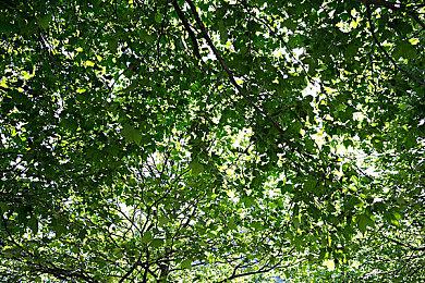 《查尔斯小火车》NS版预告 明年1月18日发售